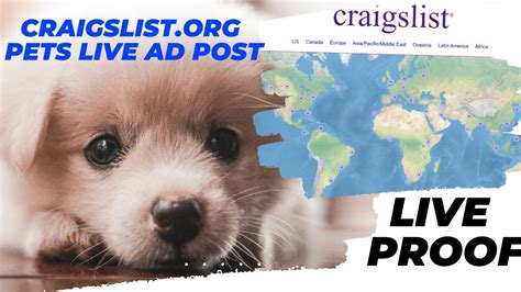 Craigslist org pets. Things To Know About Craigslist org pets. 