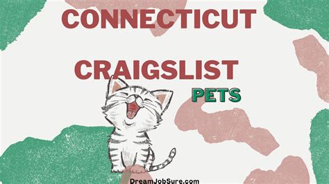 Craigslist pets connecticut. Things To Know About Craigslist pets connecticut. 