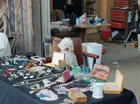 Craigslist santa maria garage sales. 4526 Cynbalaria ct near Hobbs ln. google map . saturday 2023-10-14. start time: 8:00. Lot of stuff. do NOT contact me with unsolicited services or offers. post id: 7676564880. posted: 2 days ago. 