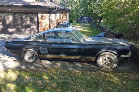 Craigslist shelby ohio. The average Ford Mustang Shelby GT500 costs about $67,112.89. The average price has decreased by -5.1% since last year. The 69 for sale near Cincinnati, OH on CarGurus, range from $29,716 to $150,952 in price. 