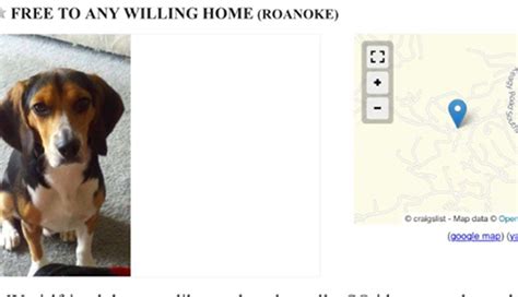 Craigslist springdale ar pets. Looking for a home for a male husky about eight months old. He needs a yard to play and someone who has time to train him. Rehoming fee applies I have pictures if interested 