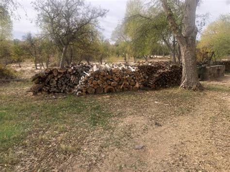 Craigslist tucson farm and garden by owner. Seasoned split mesquites and pines and eucalyptus ready for pickup $50/wheel barrel, $300/for truck load, $460/cord. Delivery is also available please call Chris at thank you and have a wonderful day 