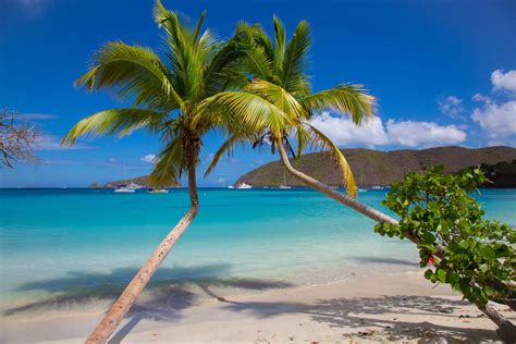 St. John is a beautiful island located in the United States Virgin Islands, and it’s no wonder that it’s a top tourist destination for many people around the world. However, gettin...