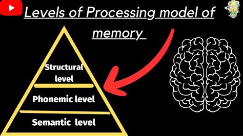 Craik and Lockhart model of memory Levels of processing Memory