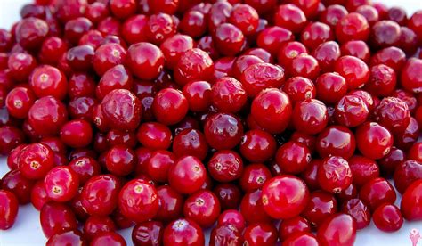 Cranberry faydaları ve zararları