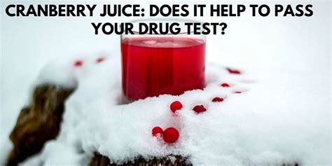 Cranberry juice to pass drug test. Remember, cranberry juice doesn't work on its own to eliminate toxins from the body. It only helps to give you a boost. Drinking cranberry juice while also using a detox kit can help you pass a urine drug test, but it won't help you pass a hair test. Hair tests can detect THC from upwards of three months before the test date, and drinking ... 
