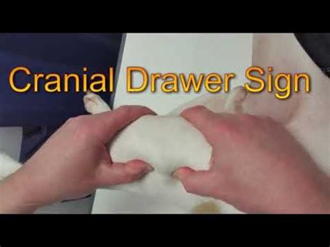 Cranial Drawer