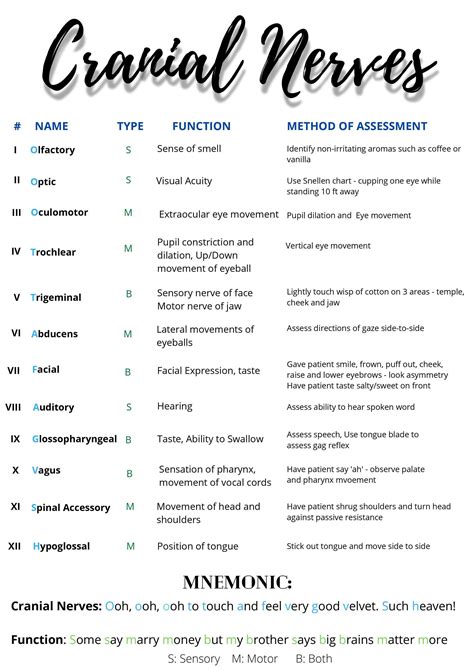 Cranial Nerve Exam Cheat Sheet