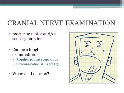 Cranial Nerve Examination Dr Will Ricketts Clinical Teaching
