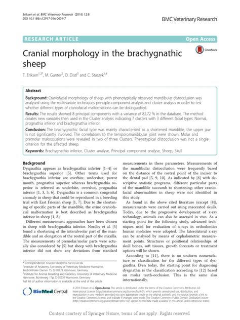 Cranial morphology in the brachygnathic sheep - SpringerLink