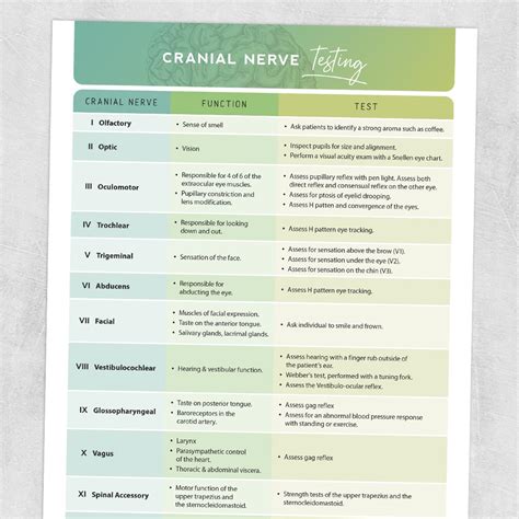 Cranial nerve exam. Things To Know About Cranial nerve exam. 
