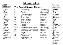 Cranial nerves (sensory, motor, or both) Flashcards Quizlet