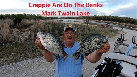 Crappie fishing report mark twain lake. 38 posts · Joined 2007. #1 · May 15, 2007. I'm leaving Friday May 18 for a three day weekend of crappie and catfishing on Mark Twain Lake. We will be concentrating around the Lick Creek area. We plan on fishing for crappie throughout the day and chasing catfish in the evening. I have not pursued catfish on Mark Twain Lake before so any ... 
