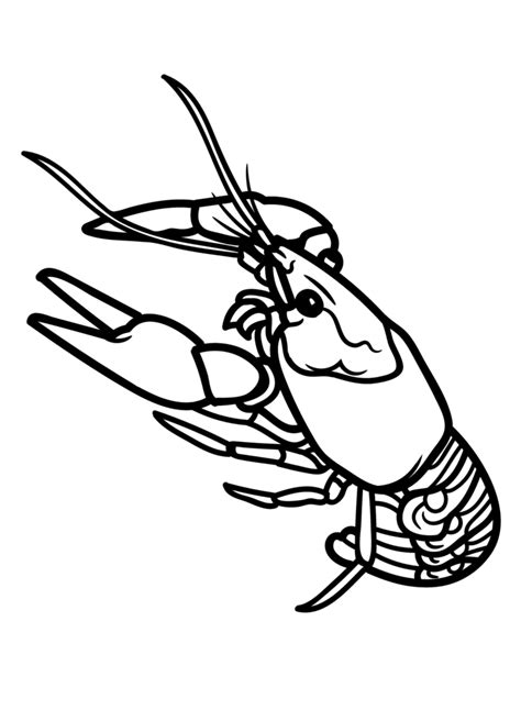 Crawdad Pages Coloring Pages