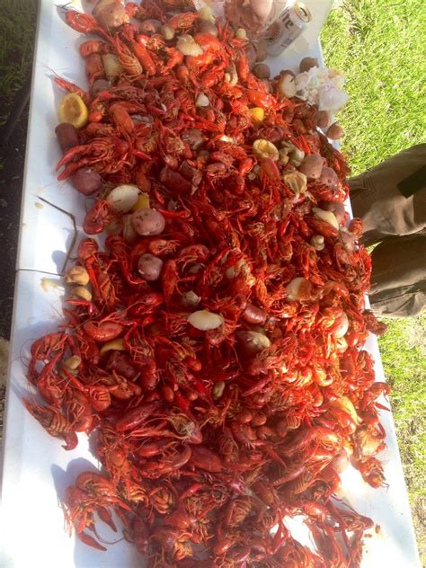 More Serving Baton Rouge & Livingston Since 1979 We are a local seafood market, serving live and boiled shrimp, crabs, and crawfish. Boiled HOT & Juicy Seafood! 2 Locations Serving East Baton Rouge & Livingston Parish 1180 S Range Rd, Denham Springs 225-667-7667 Less. 
