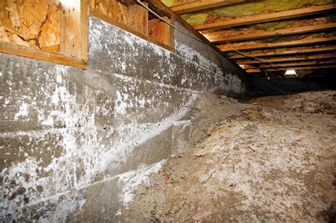 Crawl space mold remediation. Spray the area and use a scrub brush to clean the mold away. Then, rinse the area with clean water. When using baking soda, it usually works best with a white vinegar spray following the baking soda, but not at the same time. The baking soda should be scrubbed away and rinsed before spraying with vinegar. 