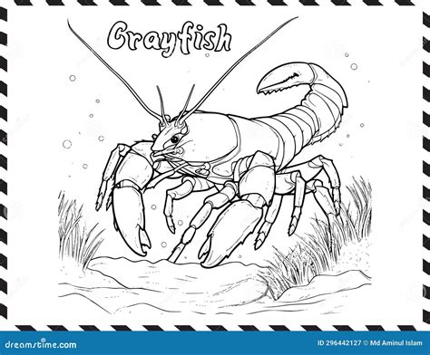 Coloring Pages Of Pumpkin Pie