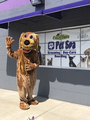 Crazy Bone Pet Spa, Parkersburg, West Virginia. 2,360 likes · 9 talking about this · 295 were here. Safe, "no mingle" pet grooming and boarding from real animal-lovers in the Mid-Ohio Valley!. 