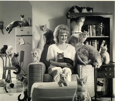 Crazy cat lady. Aug 21, 2019 · That’s according to researchers at UCLA, who analyzed more than 500 pet owners and found nothing to support the long-held “crazy cat lady” stereotype. The study, published in the journal ... 