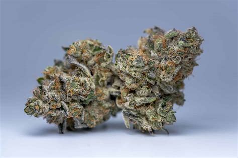 A cross between Original Glue and Super Silver Chemdawg Haze, Crazy Glue smashes together two very different flavor profiles without yielding to either. You are going to get a ….