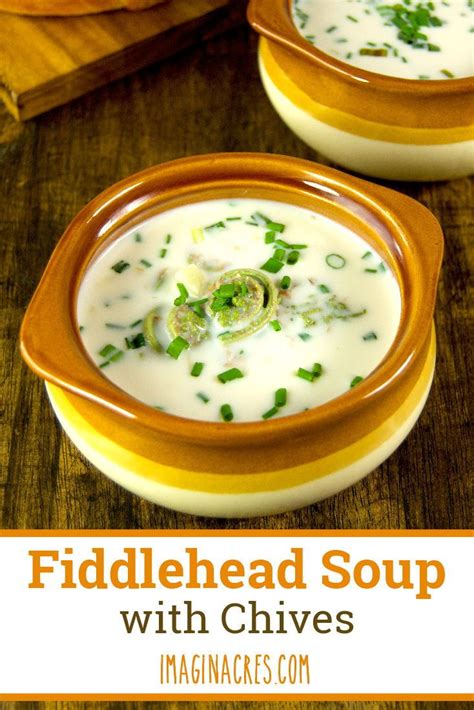 Creamy Fiddlehead Soup with Chives - ImaginAcres