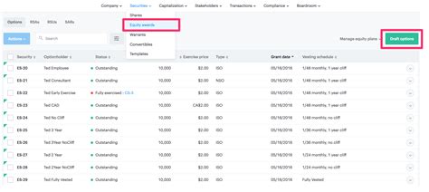 Create a Vesting Schedule Template