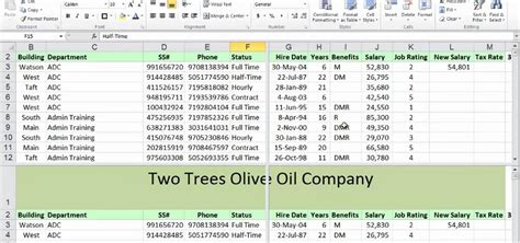 Create split screens and frozen titles in a flash - Excel: Tips and ...