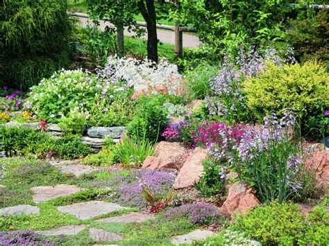 Creating A Rocky Crevice Garden At Home - Gardening Know How