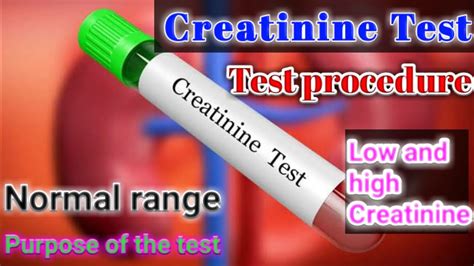 Creatinine Test in Blood introduction Normal range purpose