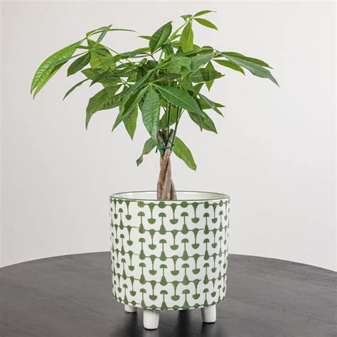 Creative Co-Op Pots & Planters at Lowes.com