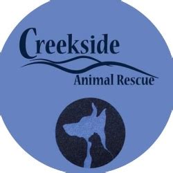 Creekside animal rescue. Things To Know About Creekside animal rescue. 