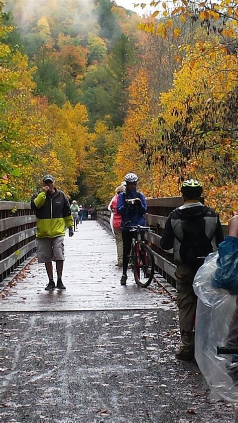 Creeper Trail Bike Rental - Tripadvisor