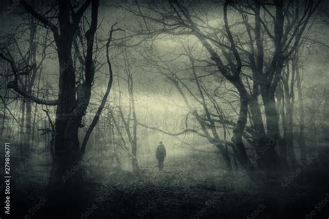 Creepy woods forest scary Stock Photos and Images - Alamy