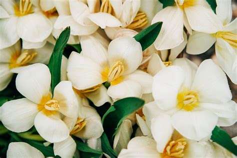 Cremation funeral service.  Compassionate funeral services in Helena, MT.  C...