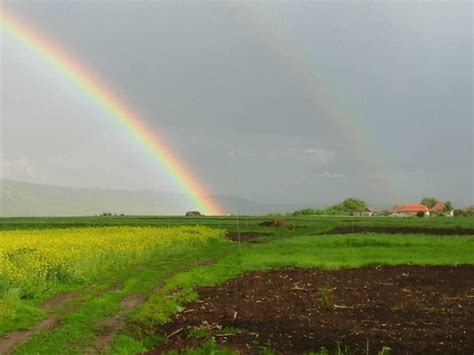 Cremation services christchurch.  Individual Pet Cremation Service in Chr...