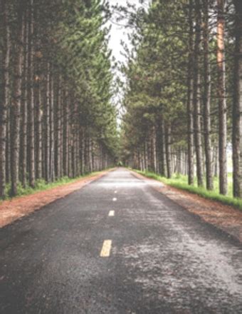 Cremation services fresno.  Yosemite Cremation Service in Fresno, CA provides ...