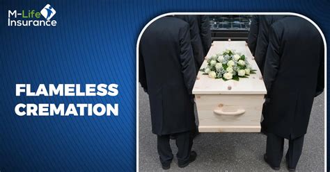 Cremation services minneapolis. e.  Flameless Cremation Flameless Cremation is an...