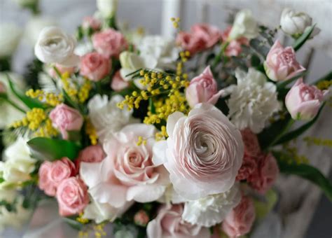 Cremation st charles mo.  Charles County.  Call us today for pre-plannin...