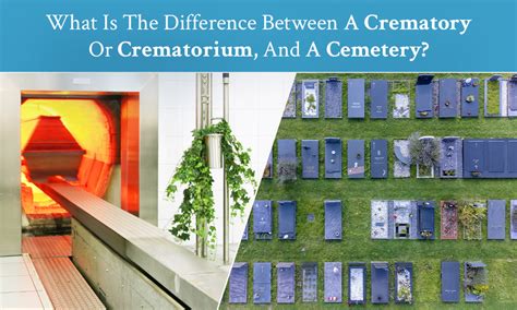 Crematorium meaning.  Define crematorium.  Crematory definition: A crematorium.  A crematorium,...