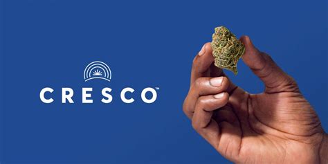 Cresco strain library. Jul 20, 2023 · CHICAGO--(BUSINESS WIRE)-- Cresco Labs (CSE:CL) (OTCQX:CRLBF) (FSE: 6CQ) (“Cresco” or “the Company”), a vertically integrated, multi-state operator and the cannabis industry’s No. 1 producer of branded products, today announced the expansion of a partnership with Khalifa Kush to exclusively cultivate, manufacture and distribute the cannabis brand’s premium products in Massachusetts. 