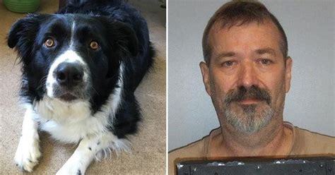 Crestwood man convicted of mutilating, killing neighbor's dog