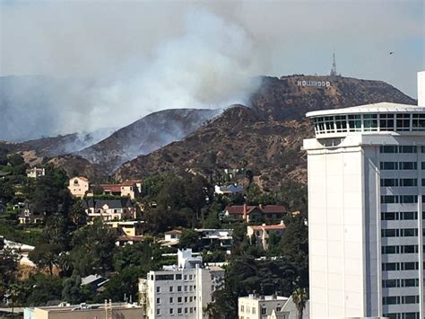 Crews battle Hollywood Hills brush fire