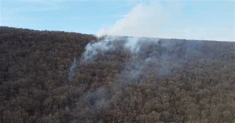 Crews battle brush fire in Plainfield Twp., as much of Lehigh Valley ...