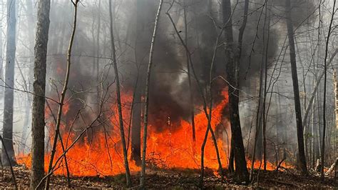 Crews battle large brush fire in Northborough