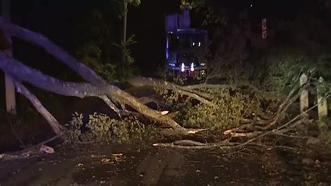 Crews cleaning up after large tree falls across roadway in Brookline