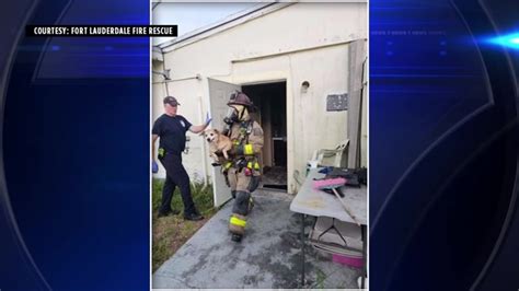 Crews rescue 2 dogs from burning house in Fort Lauderdale