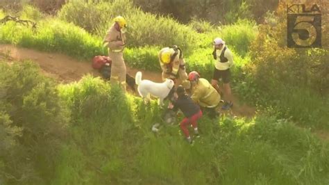 Crews rescue dog trapped near Hollywood sign trail
