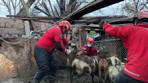 Crews rescue farm animals stuck in thick mud in San Bernardino County