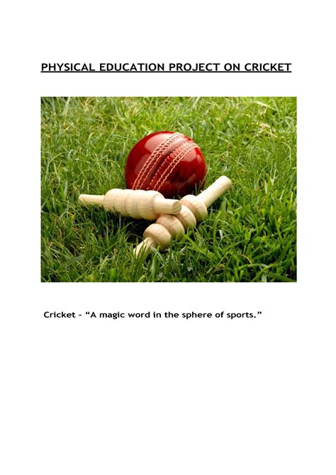 Cricket Physical-Education-Project PDF Games Of Physical Skill ...