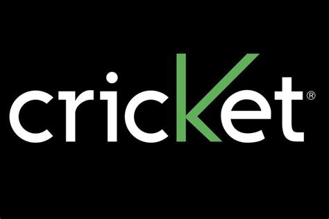 Cricket communications. Check out this GoDaddy hosted webpage! http://ippcricket.com. 